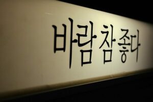 번역가의 한국어 실력 향상 E Course