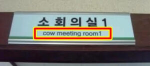 cow meeting room