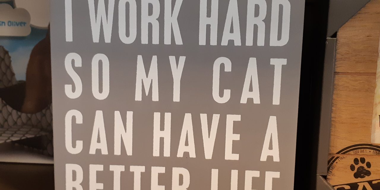 I work hard so my cat can have a better life