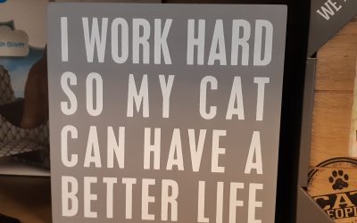 I work hard so my cat can have a better life